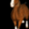 galloping horse animation