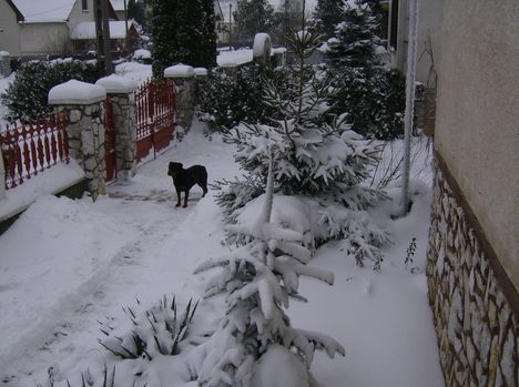 Képek az életemből a házamról. 28