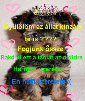 Másolat - 348974036_359165