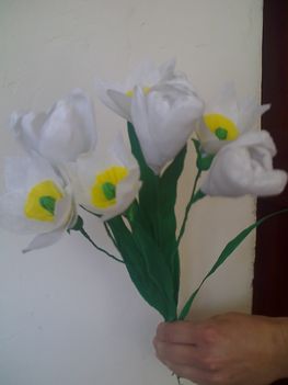 tulipán és nárcisz