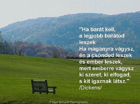gondolatok a barátságról