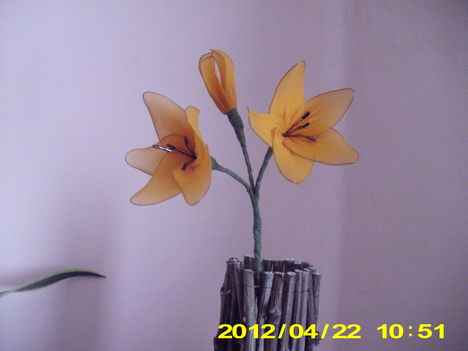 harisnya virágaim 040