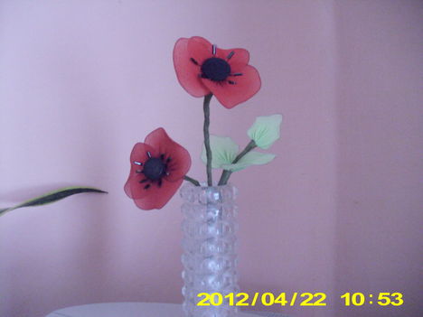 harisnya virágaim 043