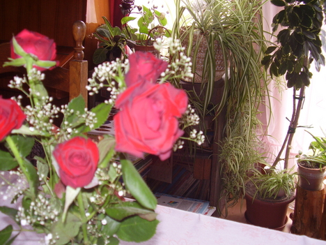rózsáim a vázában