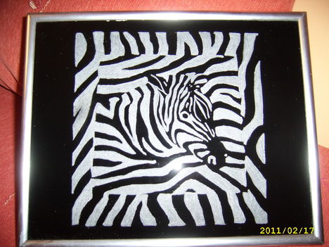 Zebra