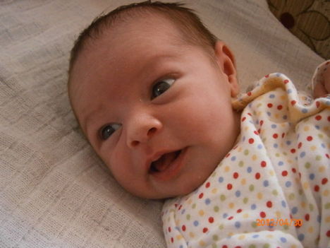 Inez 2012. 04. 20.