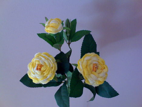Sárga melír rózsa