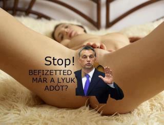 STOP