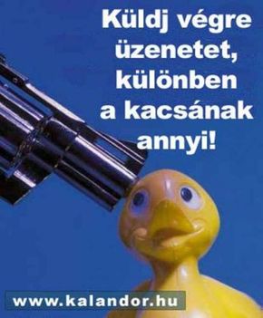 ÜZENJ VÉGRE