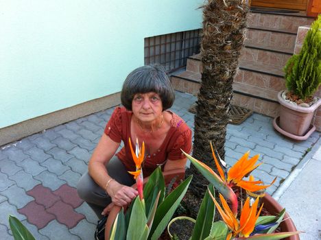 A virágok között