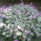 PICT0071