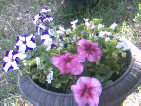 PICT0076