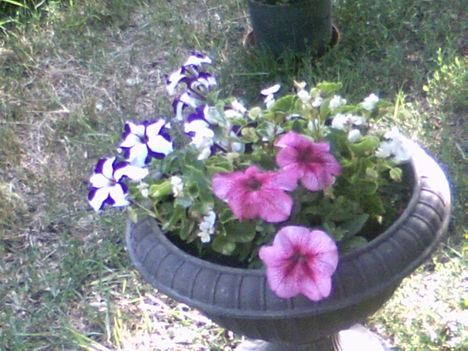 PICT0077