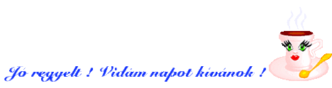 www.tvn