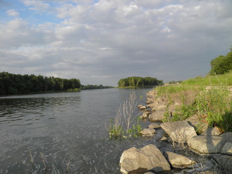 P5250028