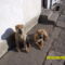 SAM_0241