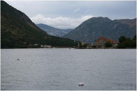 Kotor 