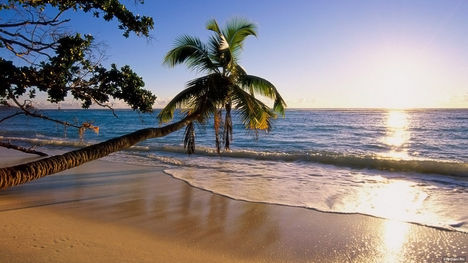 silhouette-sziget-seychelles-szigetek