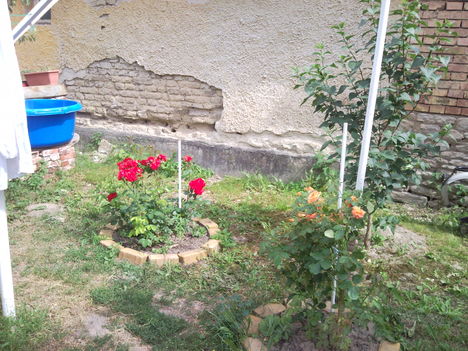 SNC00381