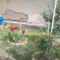SNC00381