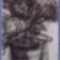 Czóbel Béla - Cserepes virágcsendélet (47x31 cm.)