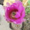 DSCF5525