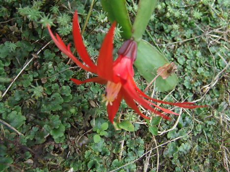 DSCF5526