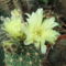 DSCF5527
