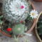 DSCF5543