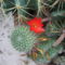 DSCF5544