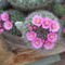 DSCF5546