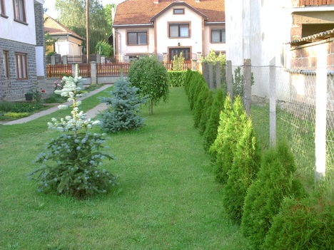 Kert 2012.06