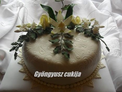 torta 1