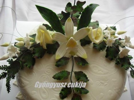 torta 3
