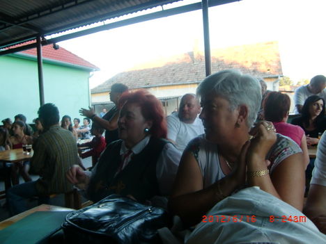 Mercyék baráti látogatáson...buli lett belőle 49