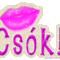 csok-07