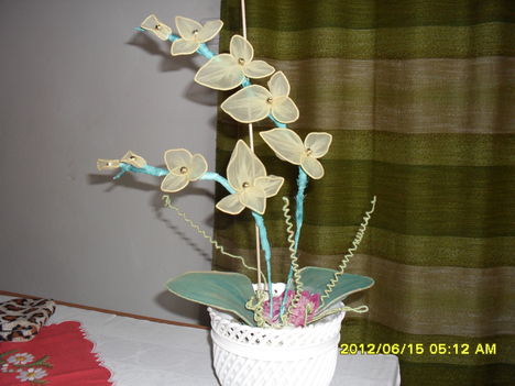 orhidea II