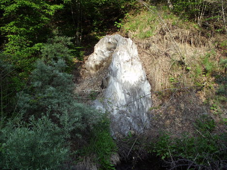 Kép 308