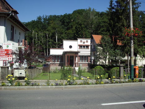 Kép 346