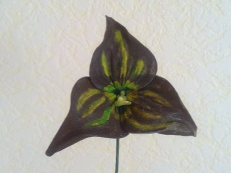 Monkey orchid