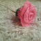 rózsaszín rózsa 2
