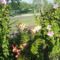 DSC09052