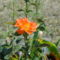 DSC09082