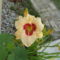 DSC09089