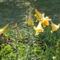 DSC09100