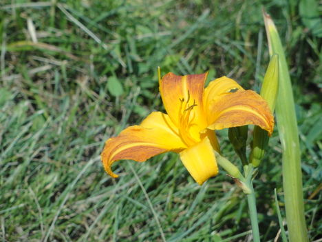 DSC09101