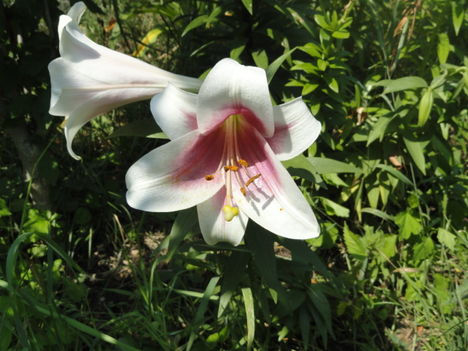 DSC09120