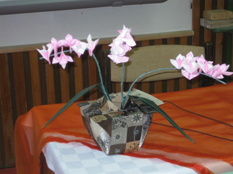 Orchideák