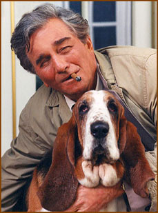 columbo_basset