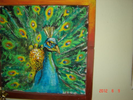 DSC00027